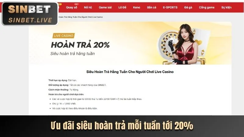 Trải nghiệm cá cược không gián đoạn